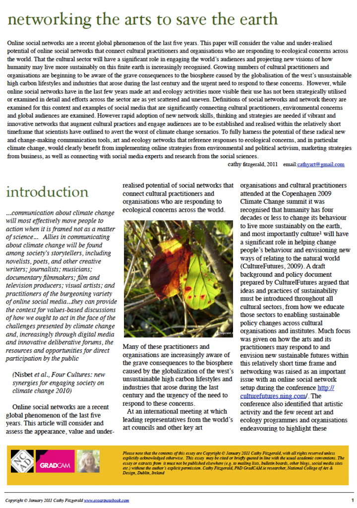 networking the arts to save the earth 2001 Cathy Fitzgerald