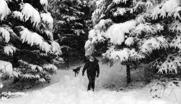 Cathy Fitzgerald and her dog Holly in their small Hollywood forest County Carlow, Ireland 2010