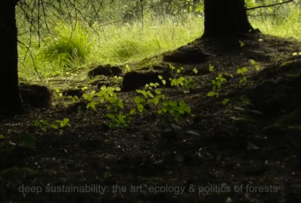 deep sustainability: the art, ecology & politics of forests