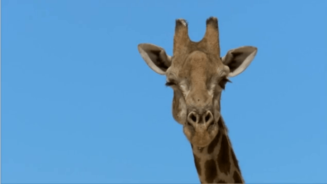 Screen Shot 2013-01-17 at 15.59.11