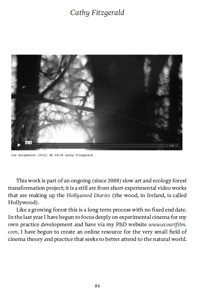 my work in the Stories from the Great Turning book