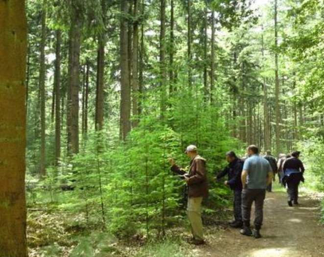 I will be presenting a talk and screening of a selection of my films at the Galway Dance Days, May 16-18, 2013