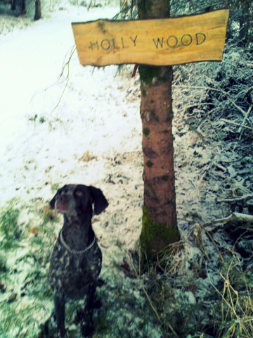 Holly and her 'sign'