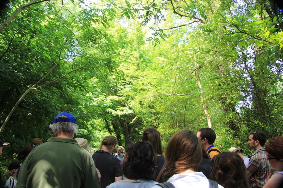 The hottest day so far so the wood was the perfect place to be