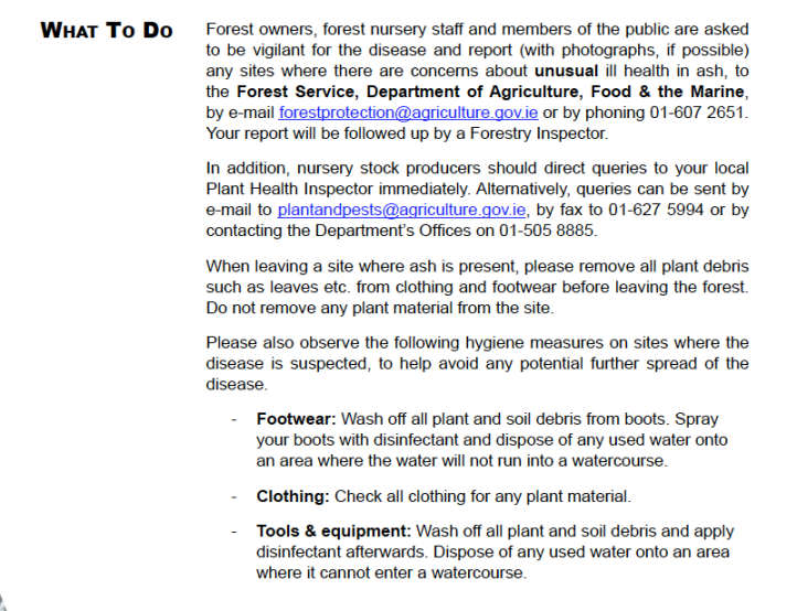 Screen Shot 2013-11-11 at 10.03.03