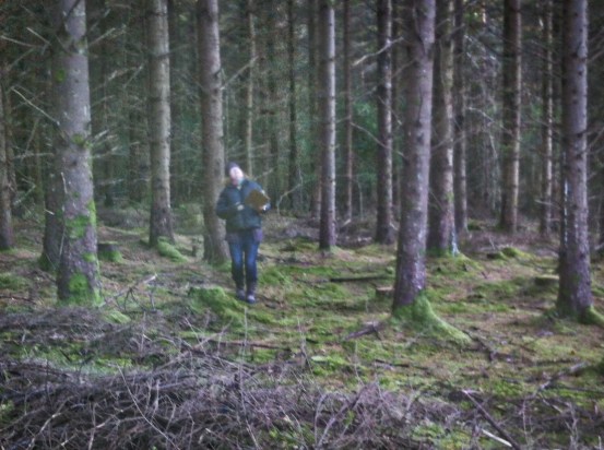 me thinning at the Tikincor marteloscope forestry training site