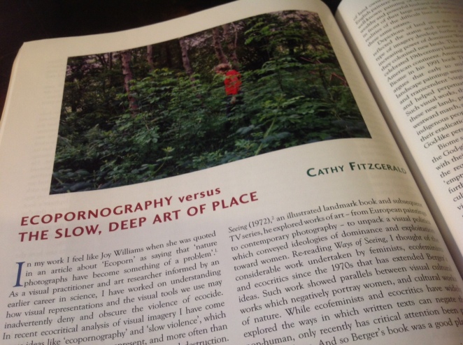 image of article by cathy fitzgerald