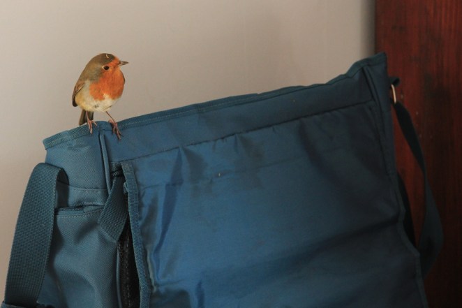 2014-08-21 at 10-50-48