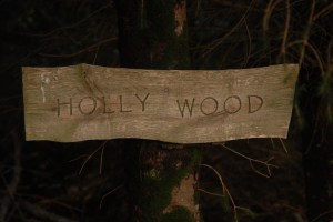 "Welcome to Hollywood"