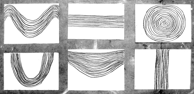 birdsong, compressed charcoal on paper © p ward 2015