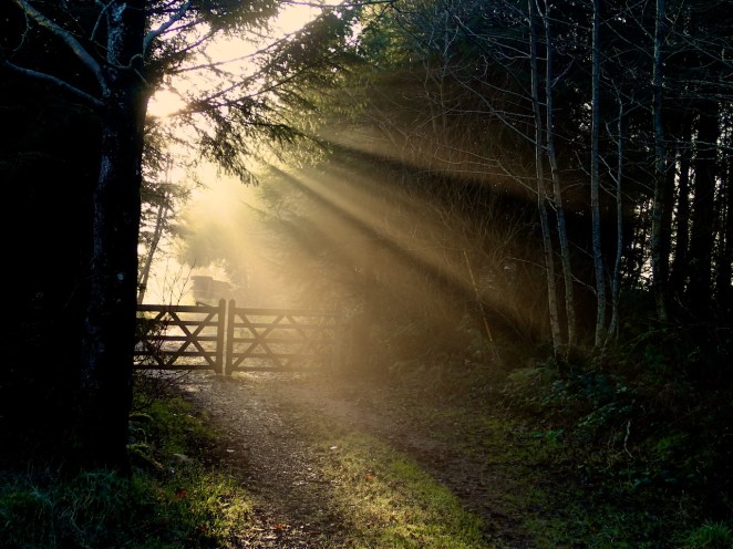 Sun powering up Hollywood Blackstairs Co. Carlow, February 2015