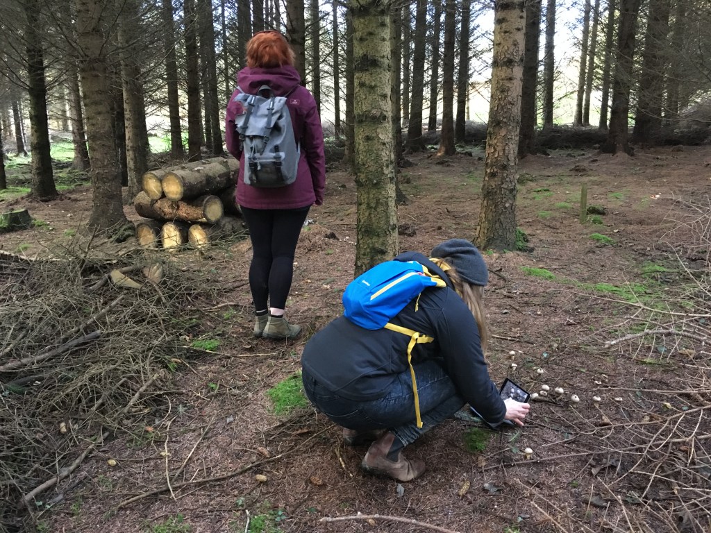 Rowan Lear and Angela Jerardi, Cowhouse artists-in-residence visitors to Hollywood forest, November 28, 2017.