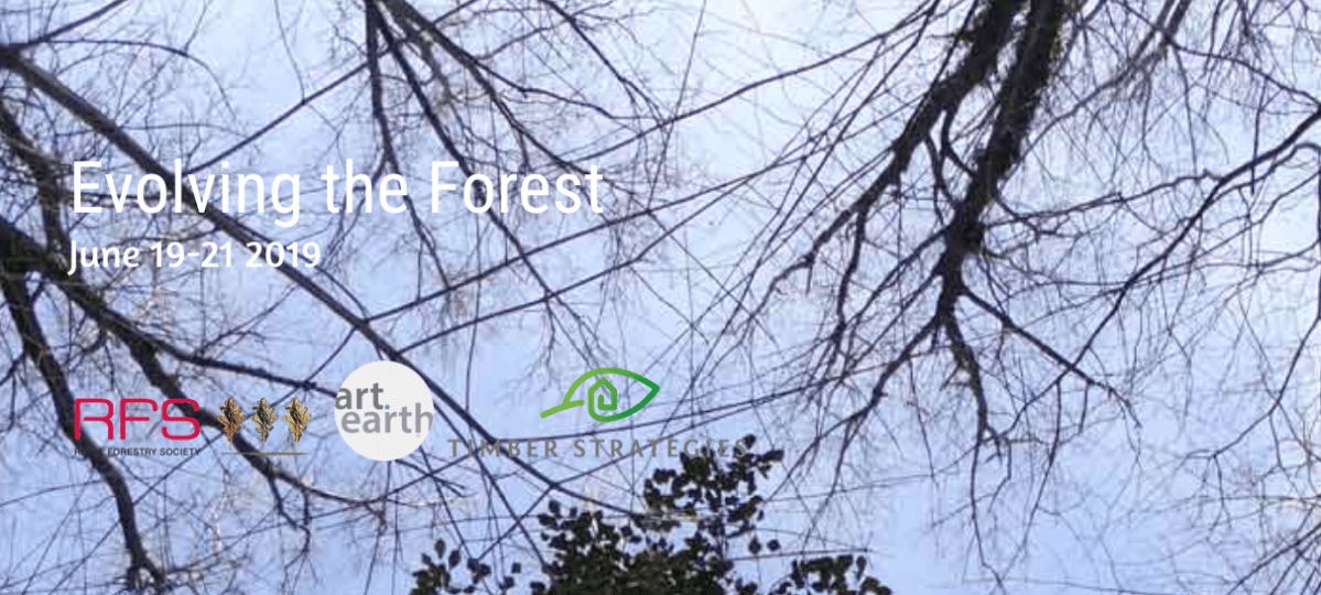 Gallery Detail: Evolving The Forest Creative Summit 19 21 2019 Call For