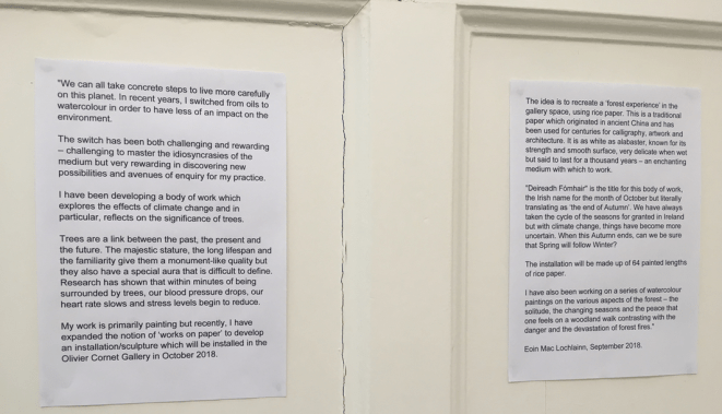 Eoin's statement of eco-social concerns and how he as an artist is responding to them.