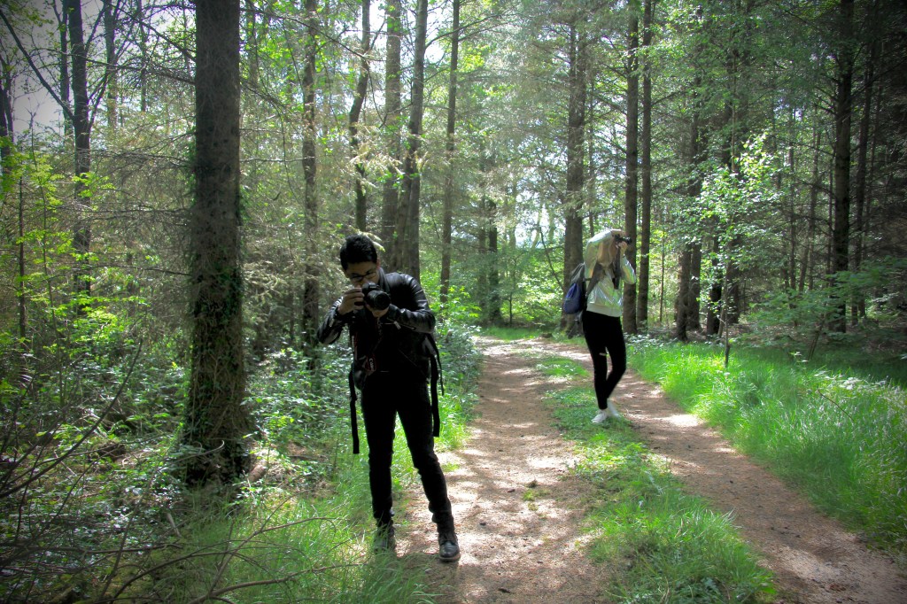 Cowhouse Studio artists visiting Hollywood Forest 2019