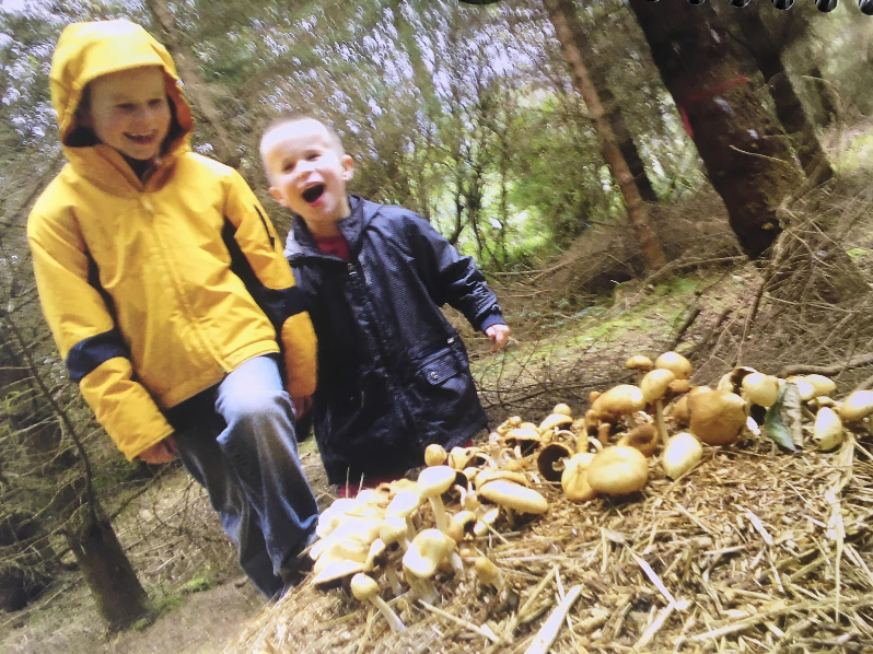 Children of Pro Silva Ireland members Anna and Brian Browne enjoying a visit to Hollywood forest in 2010. Photo: Cathy Fitzgerald