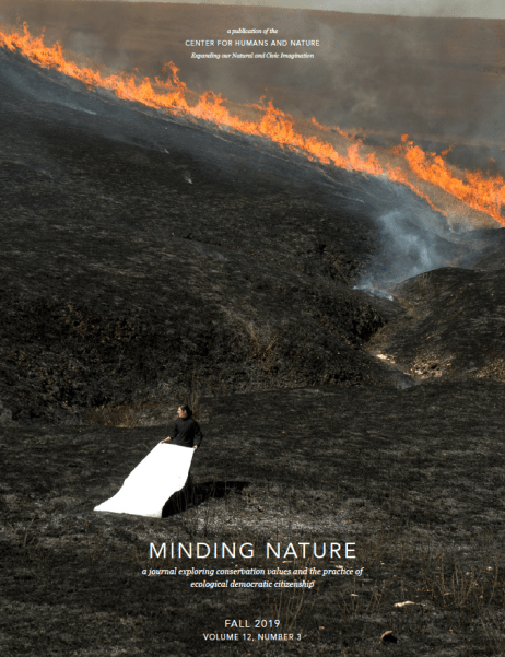 Screen Shot 2019-11-11 at 13.08.38