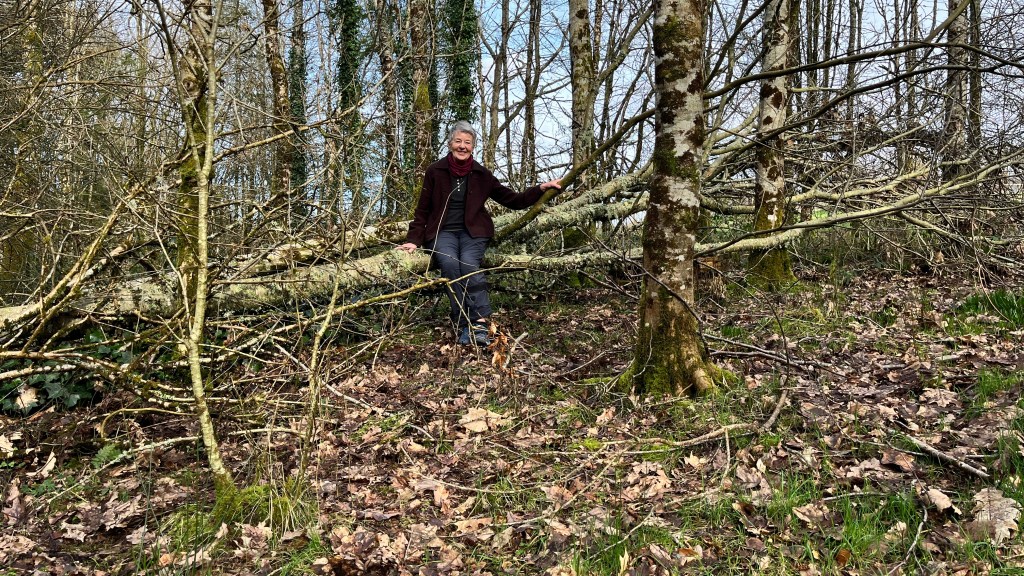 Jan Alexander sitting on fallen 'nurse' tree